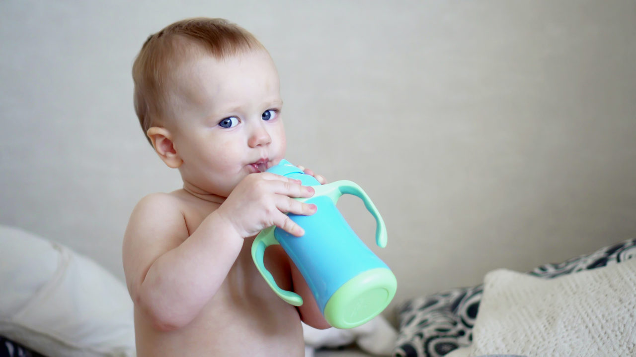 離乳食期の水分補給 何を飲ませればいい Rippy